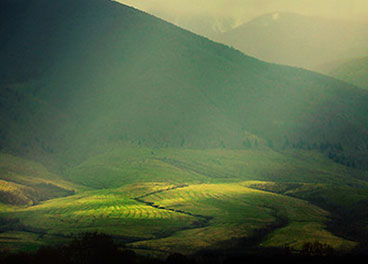 安全的自助平台推荐的在线短信呼死你